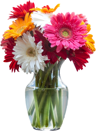 flower vase